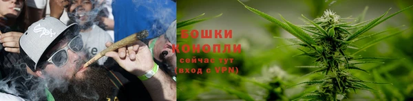 сатива Майский