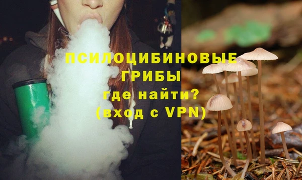 mdpv Магадан