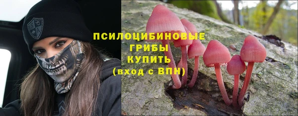 mdpv Магадан