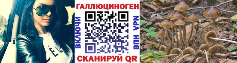 Псилоцибиновые грибы мицелий  гидра сайт  Шацк 